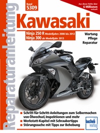 Kawasaki Ninja 250 R (2008-2012) 300 (ab 2013)